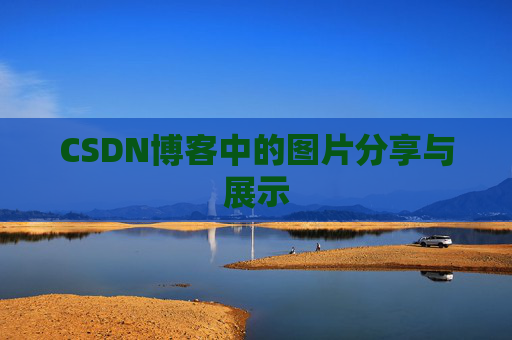 CSDN博客中的图片分享与展示